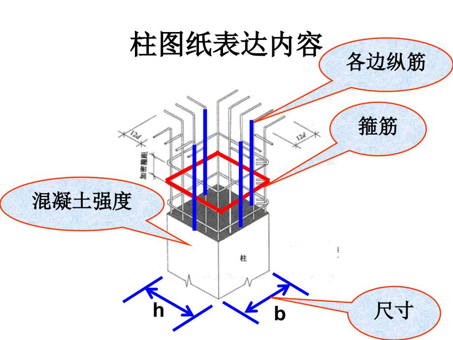 图解钢筋-柱配筋_第1页