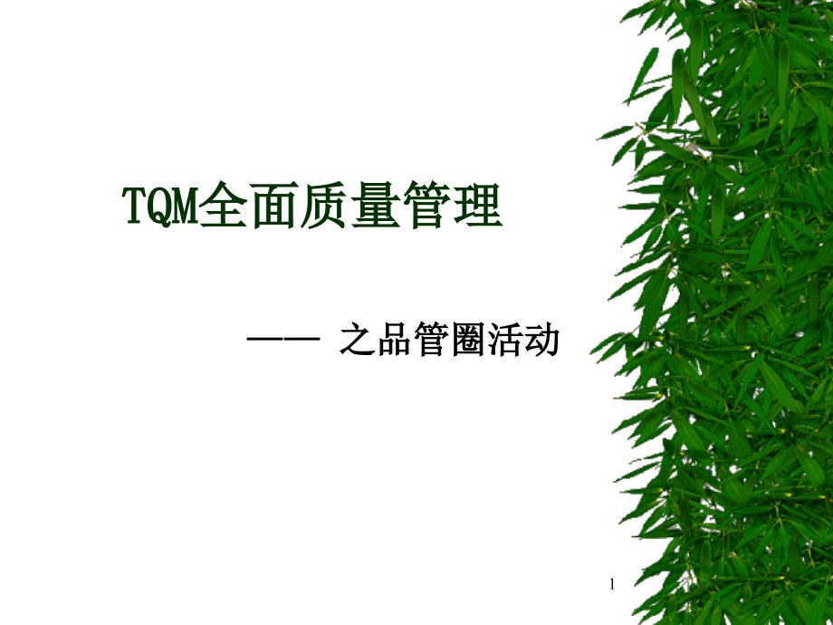 TQM全面质量管理-QCC培训教材_第1页