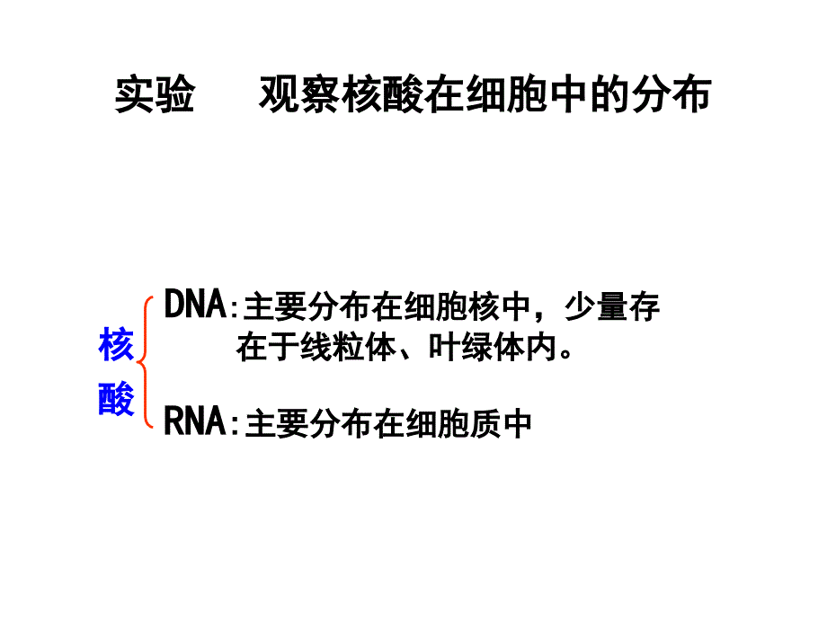 1.4.3观察核酸在细胞中的分布_第1页