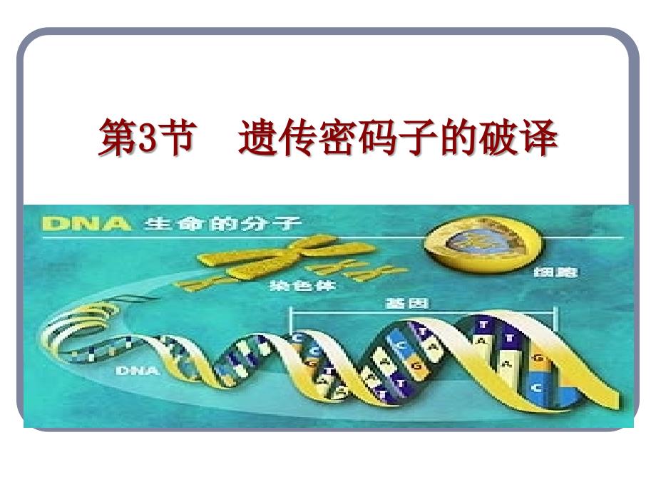 遗传密码的破译_第1页