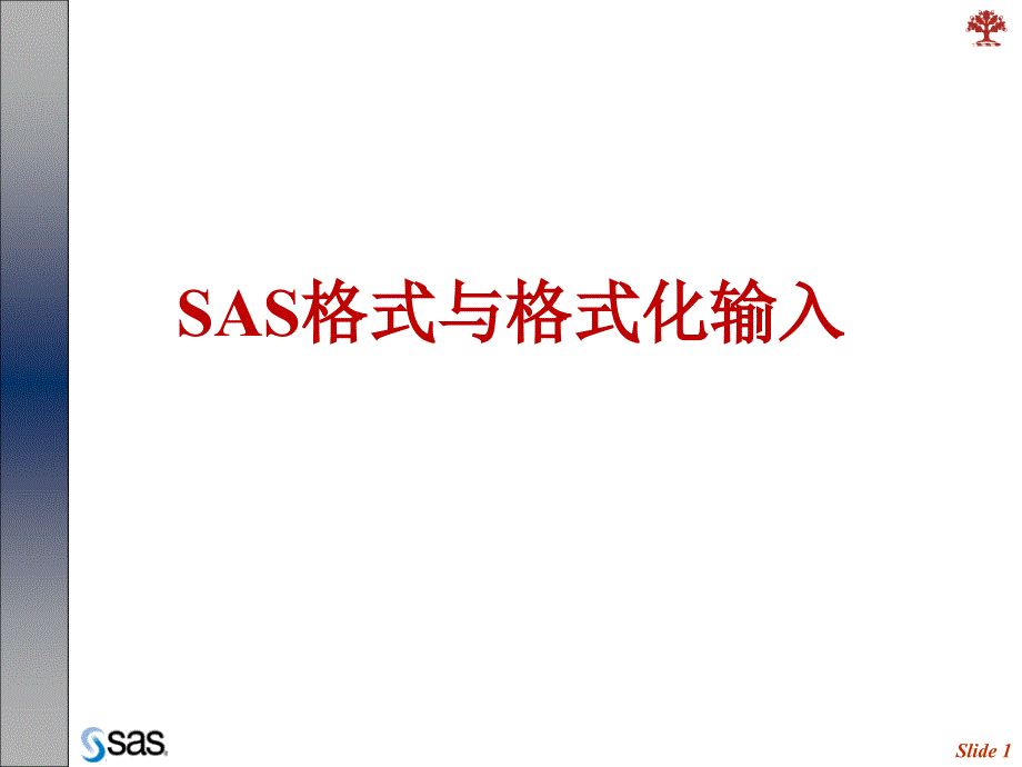 5.SAS格式及格式化输入_第1页