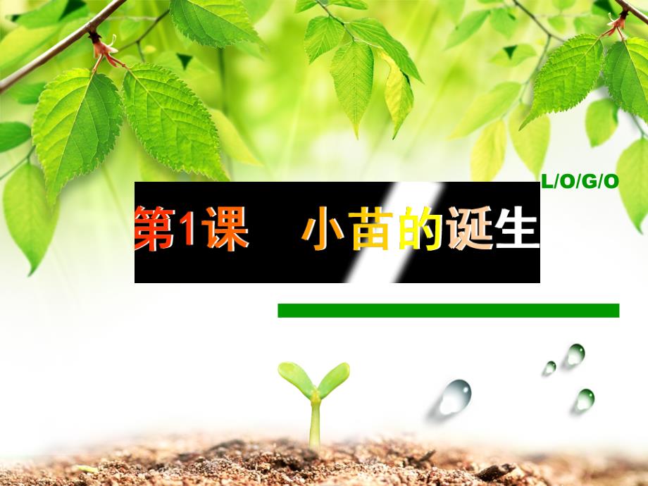 五年级上册科学课件－1小苗的诞生 ｜冀教版(共13张PPT)_第1页