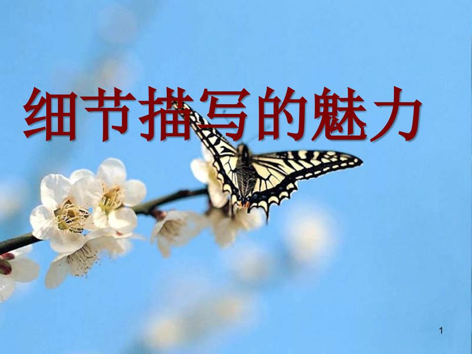 从细节到全篇_第1页