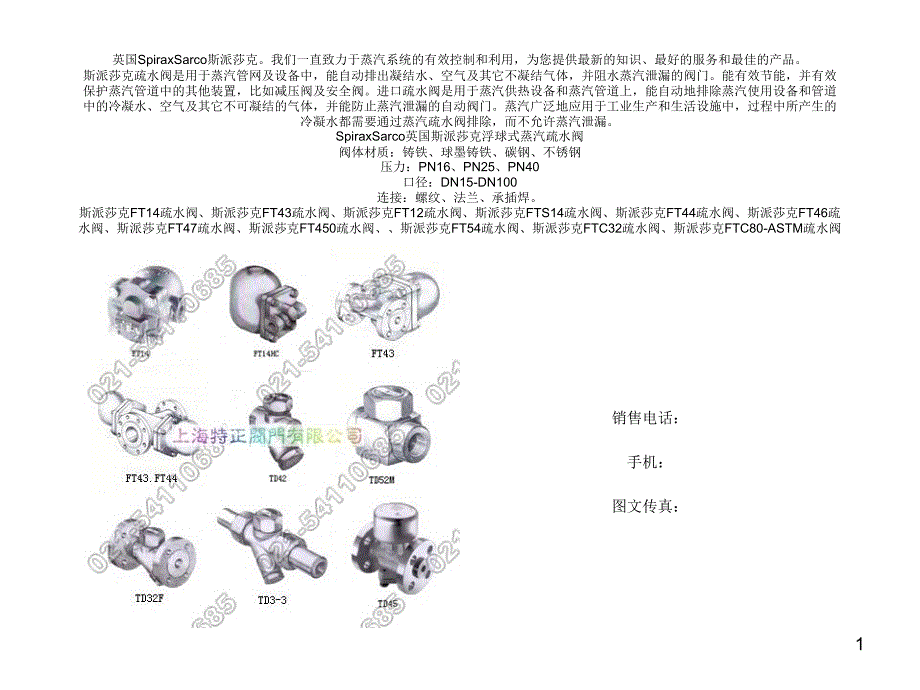 SpiraxSarco斯派莎克FT14蒸汽疏水阀_第1页