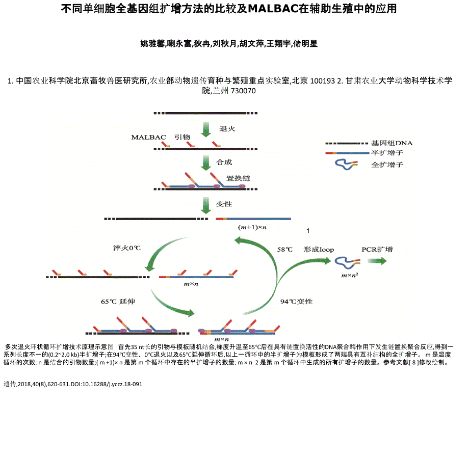 不同单细胞全基因组扩增方法的比较及MALBAC在辅助生殖中_第1页