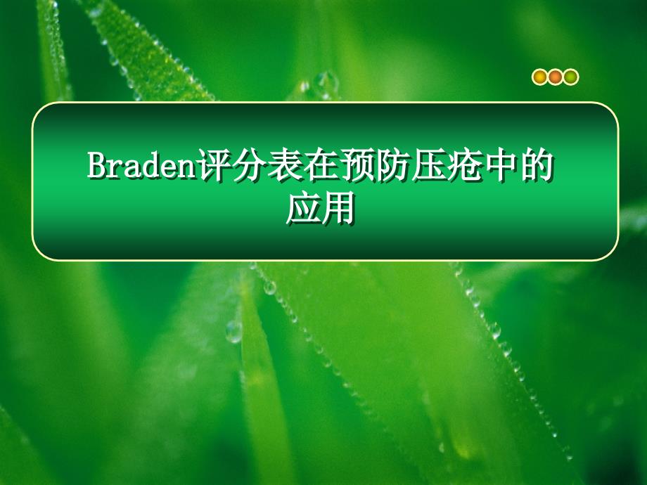 Braden评分表_第1页