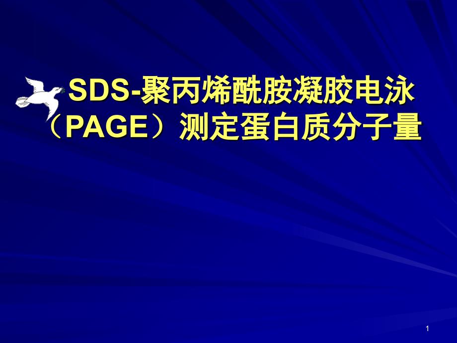 大肠杆菌感受态细胞的制备和转化_第1页