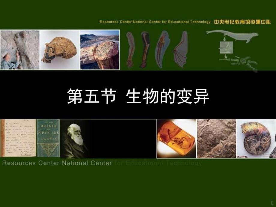 八年级生物《生物变异》课件_第1页