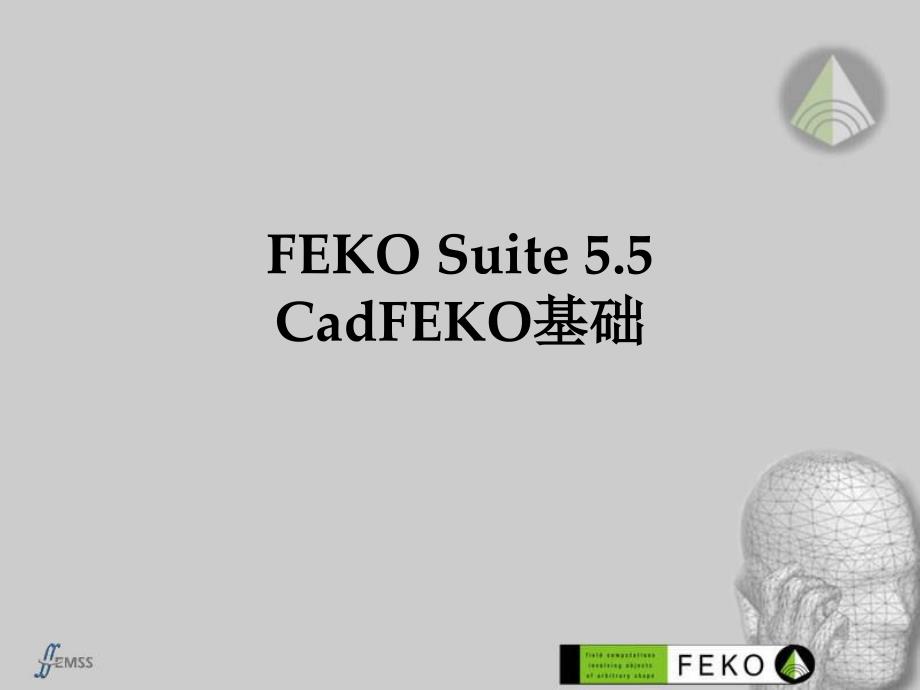 FEKO教程_第1页