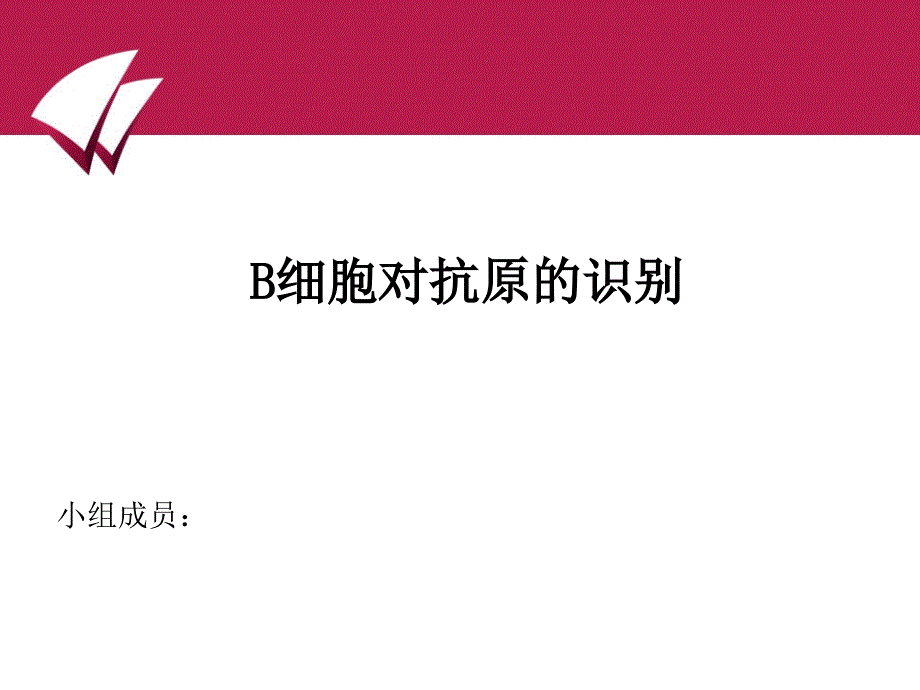 B细胞对抗原的识别_第1页