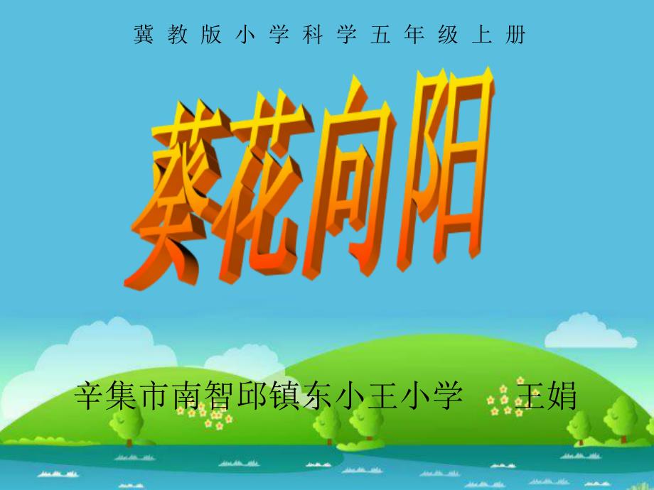 五年级上册科学课件－6葵花向阳 ｜冀教版(共11张PPT)_第1页