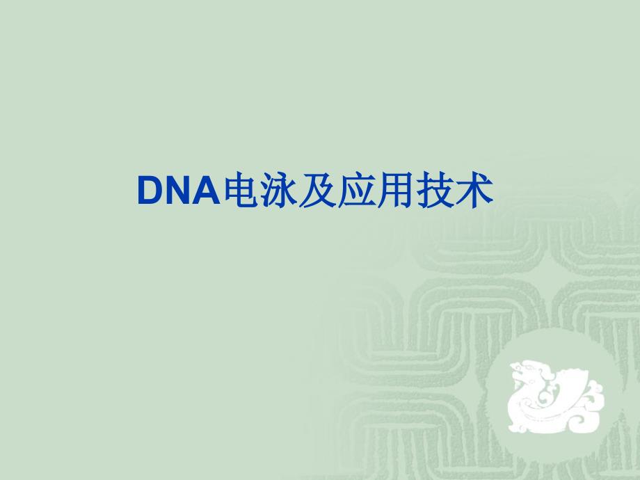 DNA电泳及应用技术_第1页