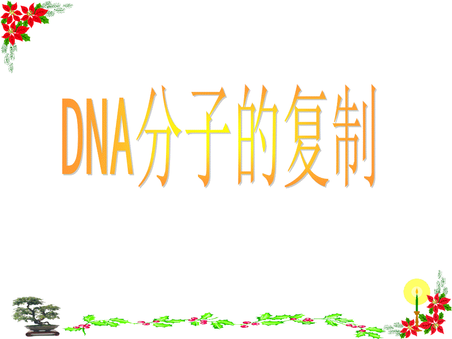 DNA分子的复制PPT课件_第1页