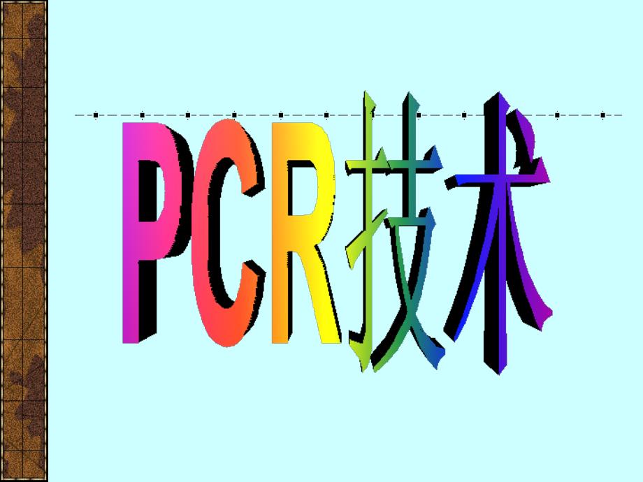 PCR技术7_第1页