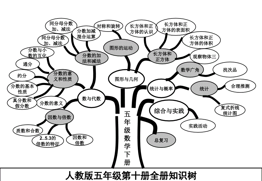 人教版五年级下册数学知识树_第1页