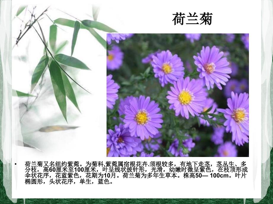 世园植物_第1页