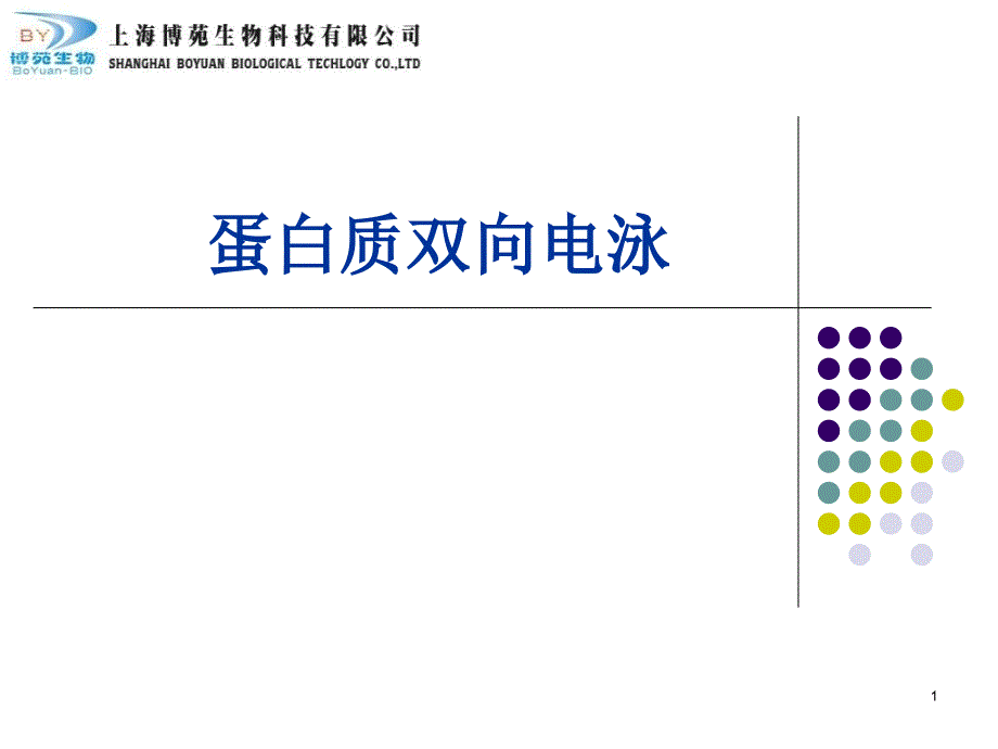 蛋白质双向电泳_第1页