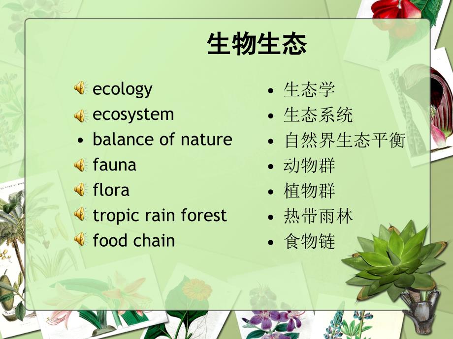 《学科英语词汇》课件生物生态_第1页