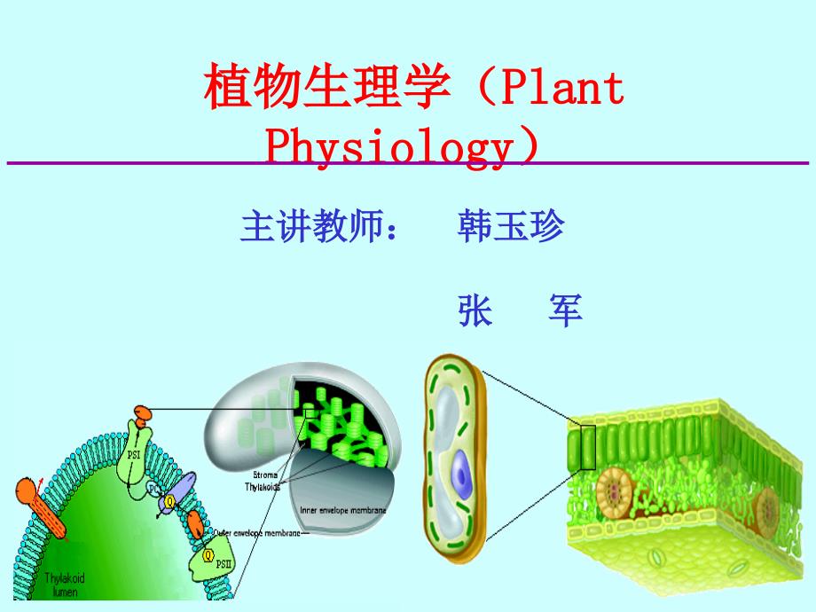 植物生理学 -本科课件00植物生理学绪论_第1页