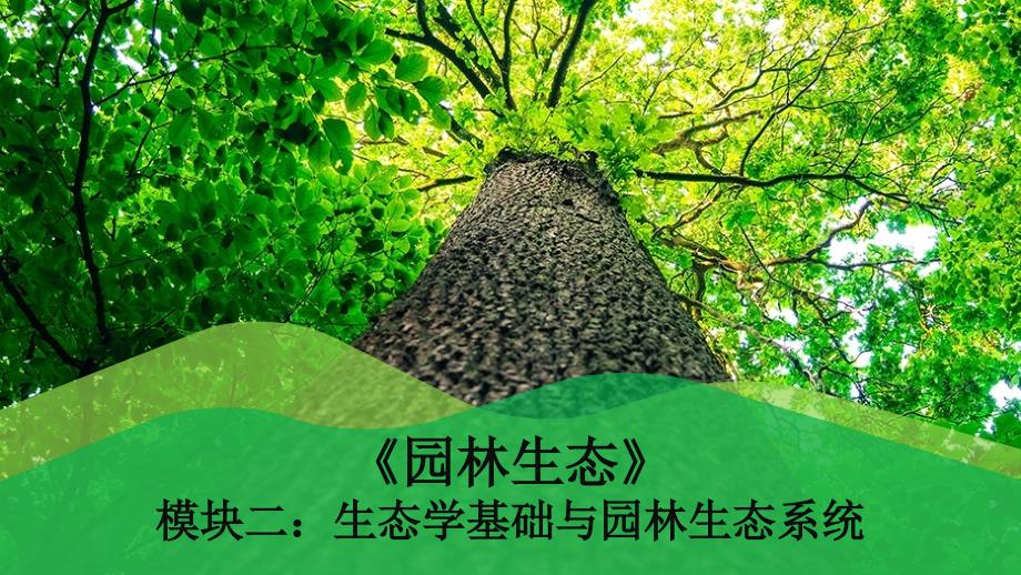 《园林生态》课件模块二 课题一. 植物种群_第1页