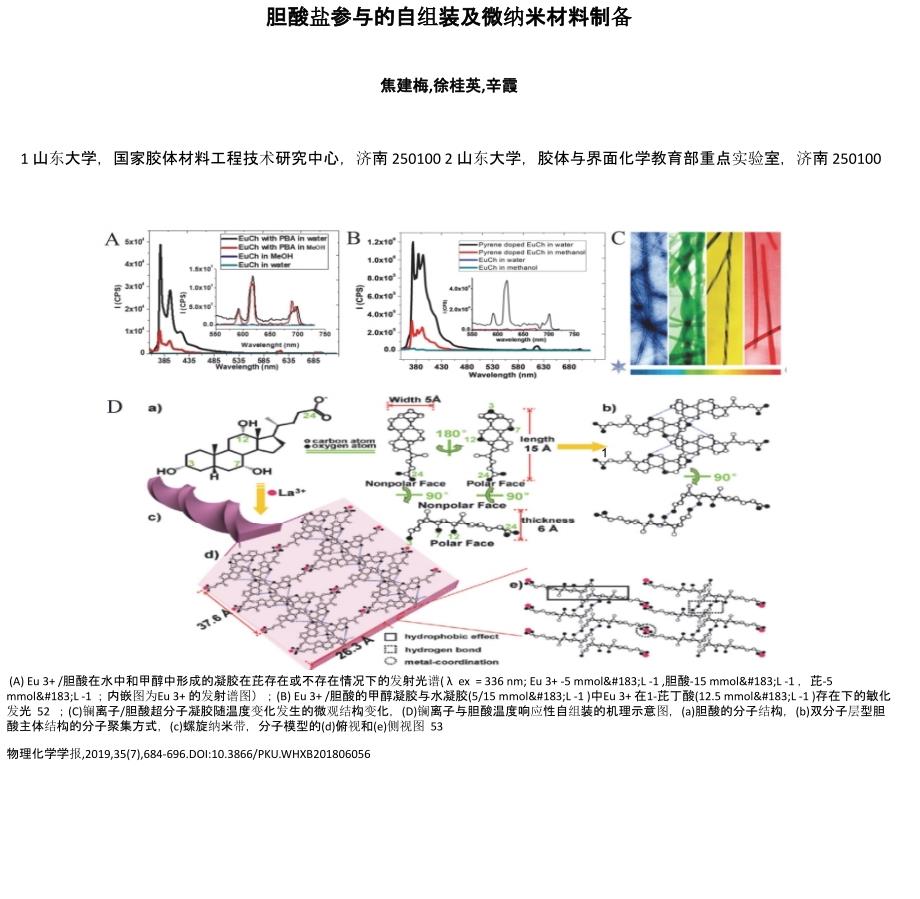 胆酸盐参与的自组装及微纳米材料制备_第1页