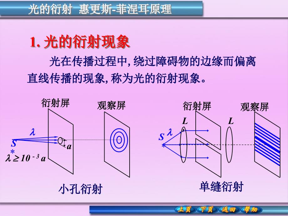 光的衍射与偏振_第1页