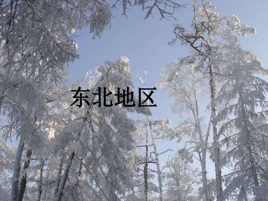 东北地区_第1页