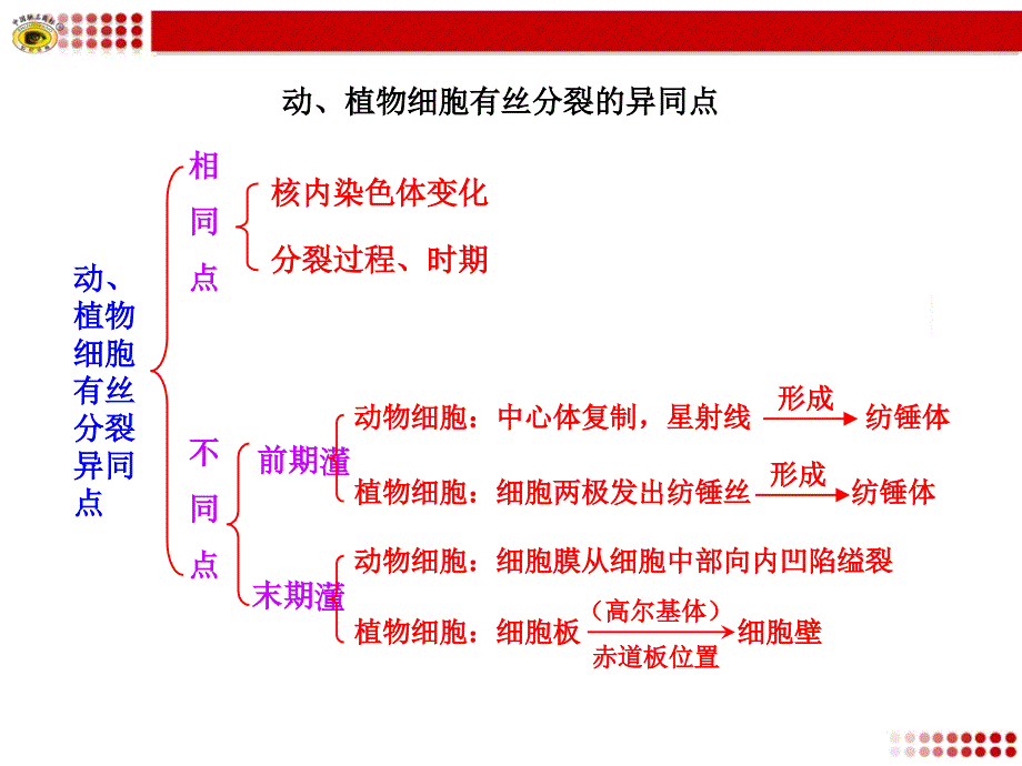 动植物细胞有丝分裂的异同点_第1页