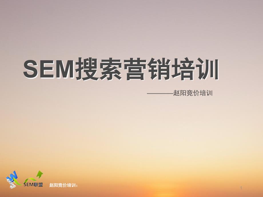 SEM搜索营销培训_第1页