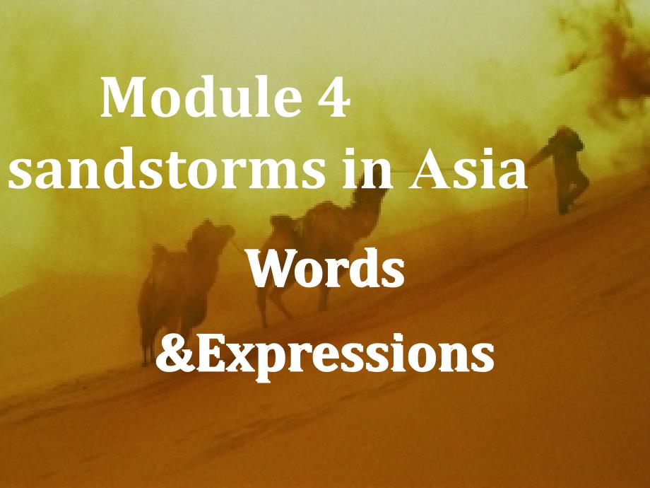 外研版必修三 Module4words&expressions单词讲解_第1页