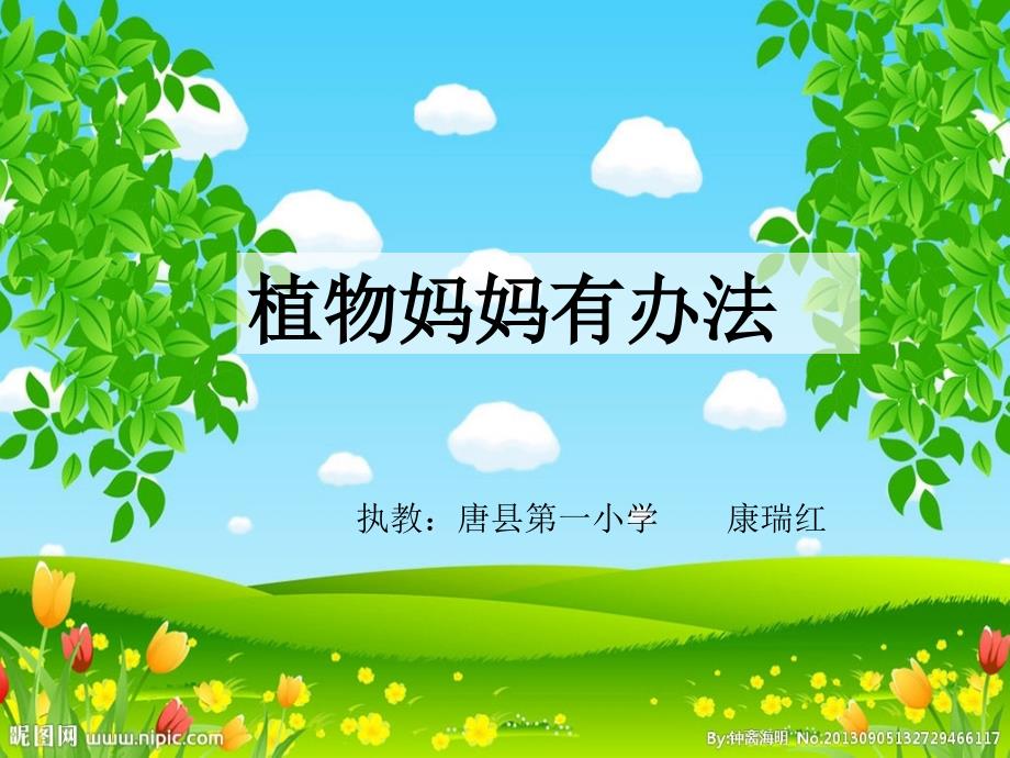 二年级上册语文课件-《3植物妈妈有办法》人教部编版 (共25张PPT)_第1页