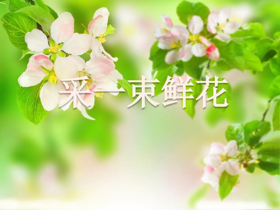 《采一束鲜花》课件_第1页