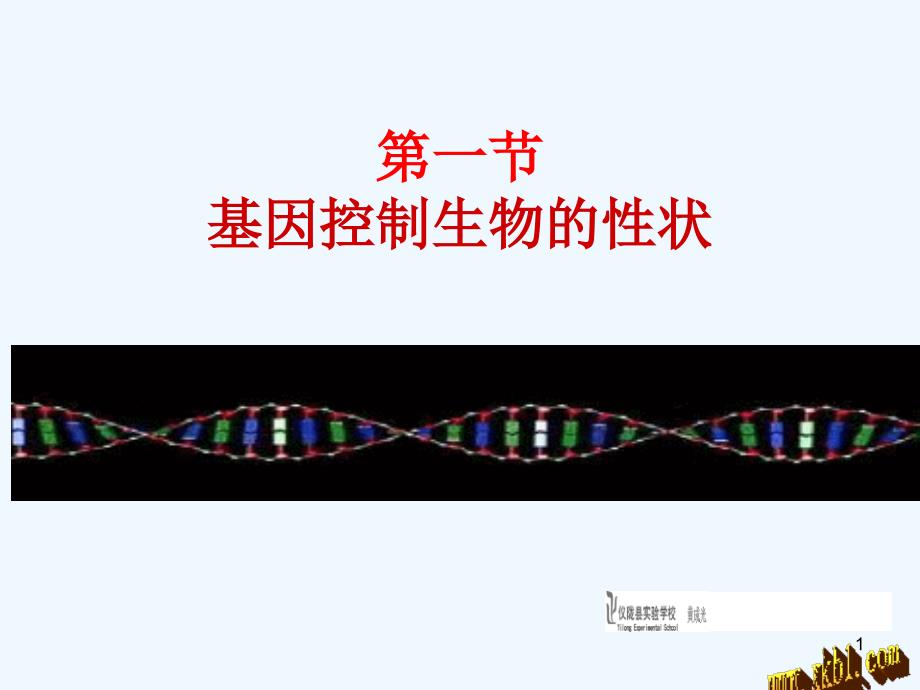 2014八下7.2.1基因控制生物的性状_第1页