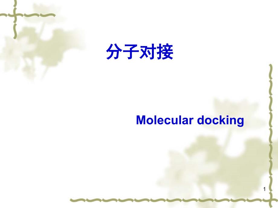 分子对接_第1页