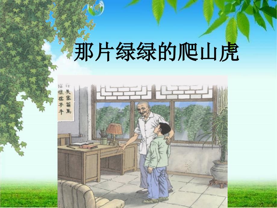 《那片绿绿的爬山虎》课件1_第1页