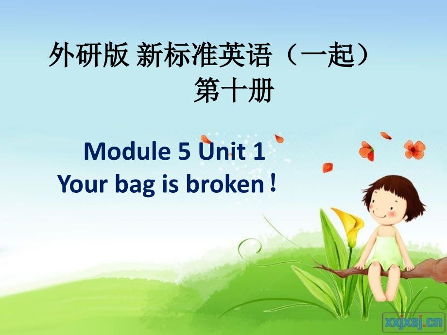 外研版_新标准英语(Module5_Unit_1_You_bag_is_broken!.mo_第1页