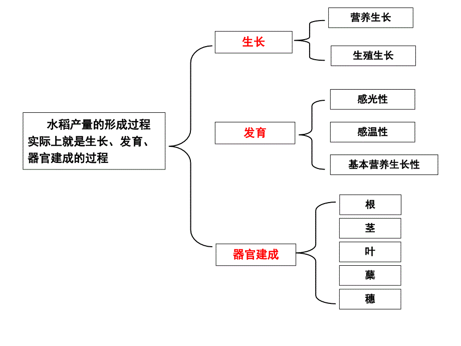 《作物栽培学水稻》课件第三节_第1页