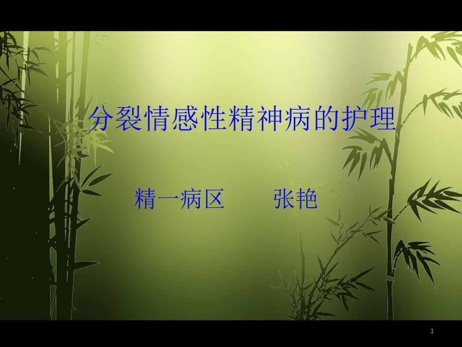 分裂情感性精神病人的护理查房1.doc_第1页