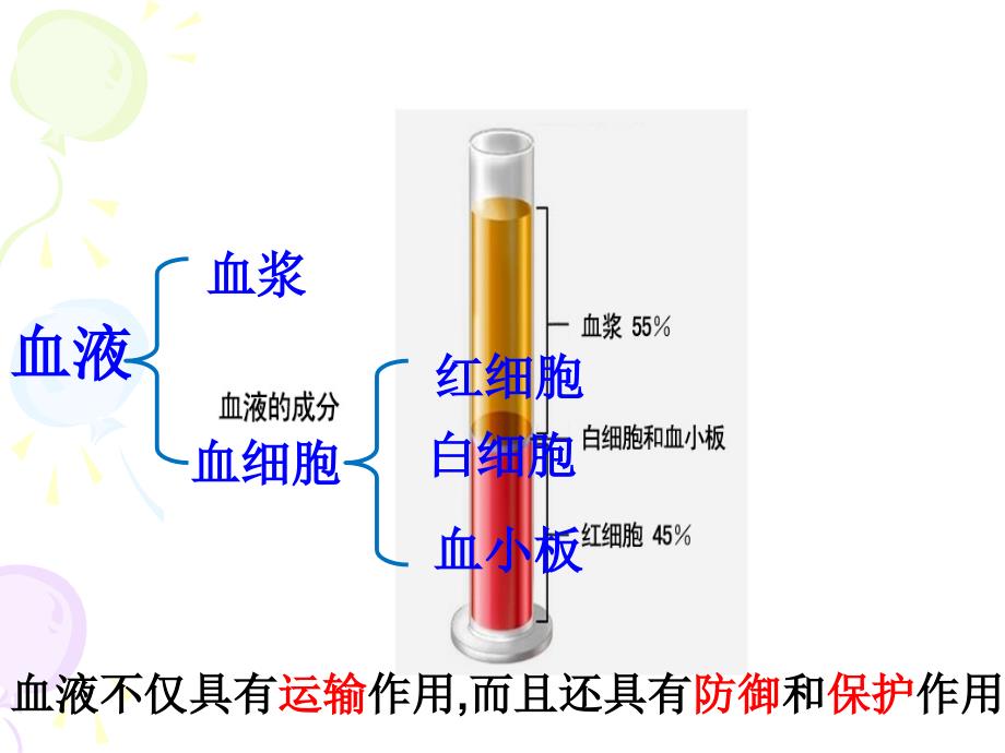 第二节血液的管道血管课件_第1页