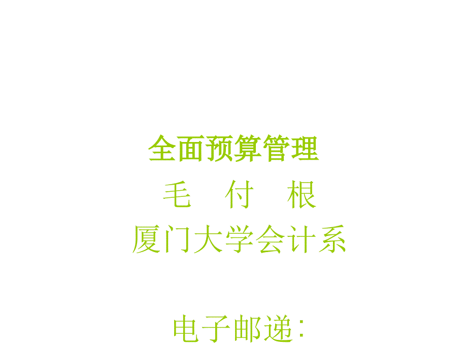 全面预算管理( 129)厦门大学会计系_第1页