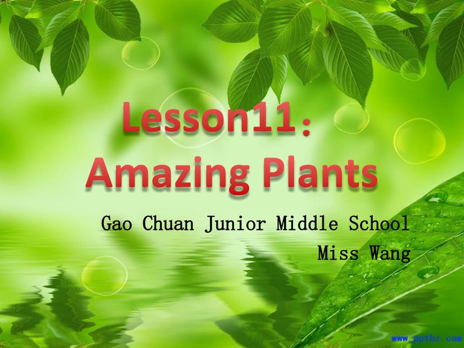 冀教版八年级下Lesson10Make your garden grow_第1页