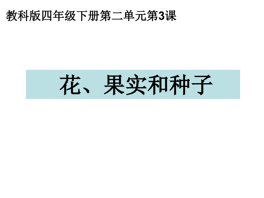 四年级下册科学第二单元第三课：花、果实和种子_第1页