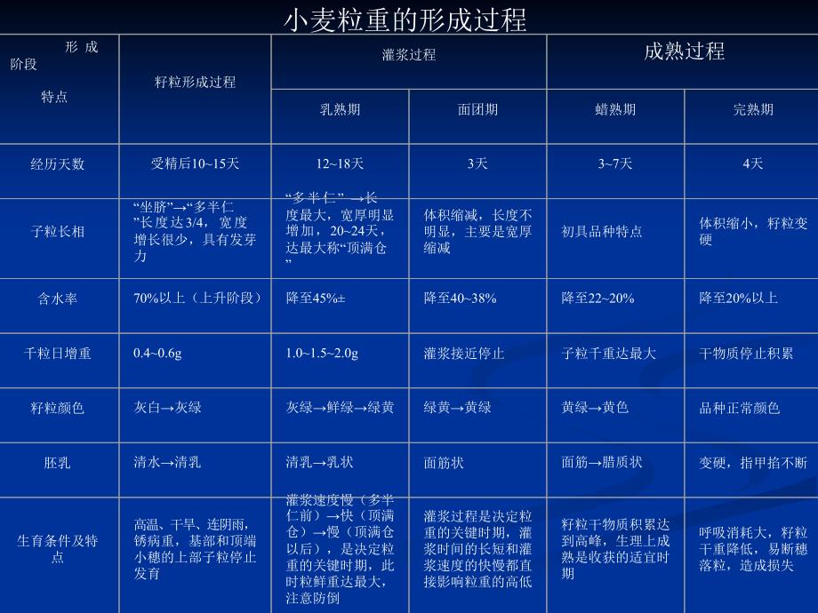 《作物栽培学》课件第三节 小麦的器官建成2-穗分化、籽粒形成_第1页