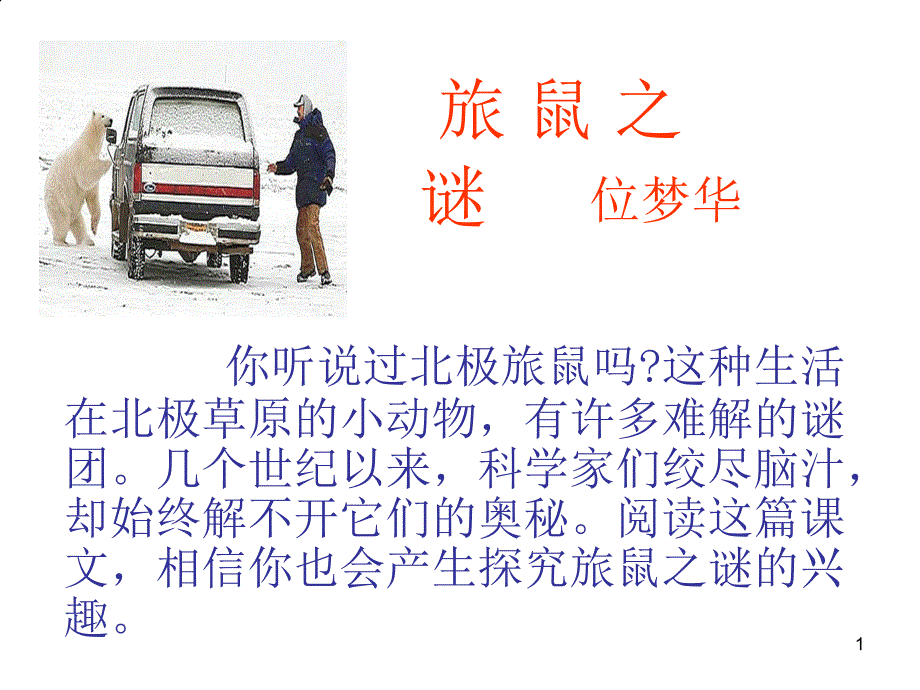 13《旅鼠之谜》教学设计课件_第1页