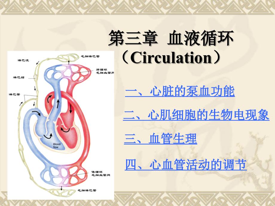 心血管活动的调节.22ppt_第1页