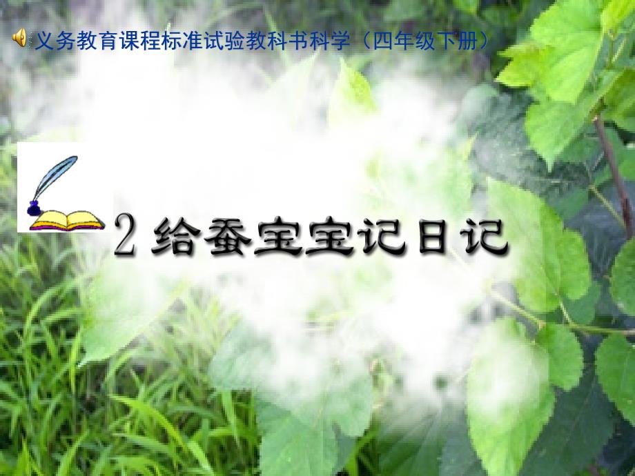 给蚕宝宝记日记 幻灯片_第1页