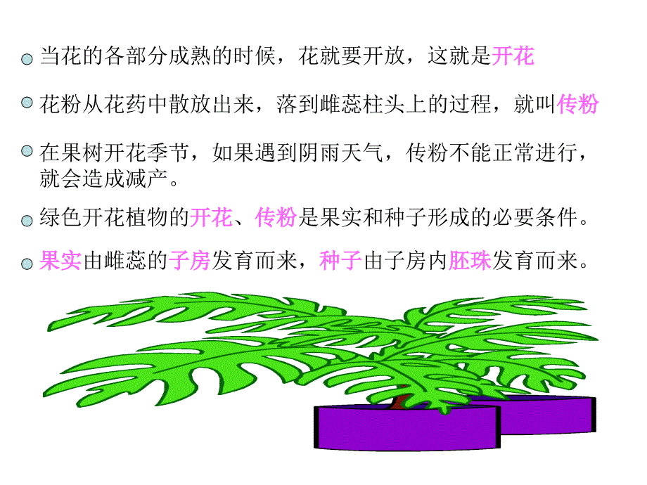 果实和种子的形成_第1页