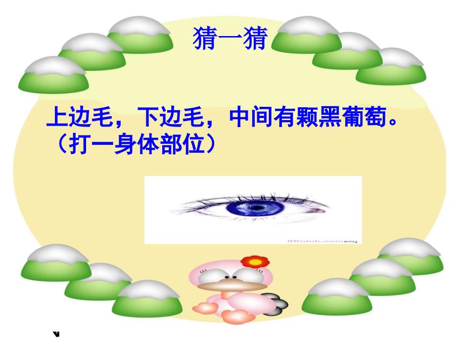 正确认识我们的身体器官_第1页