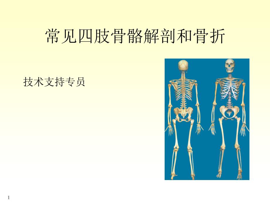 四肢骨骼解剖和骨折_第1页