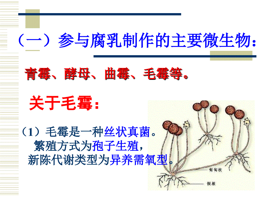 腐乳的制作知识点_第1页